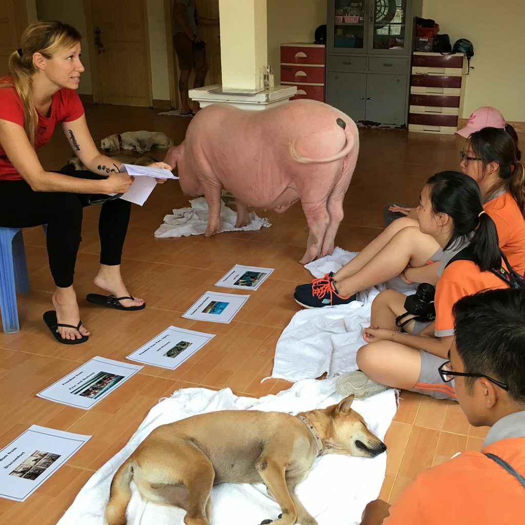 Vegan Education - Vietnam Animal Aid and Rescue
