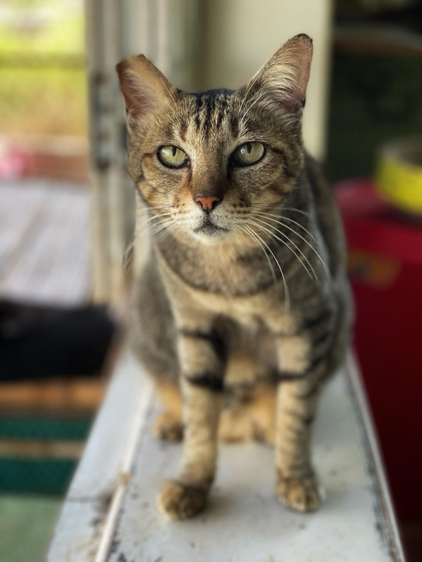 Lucy